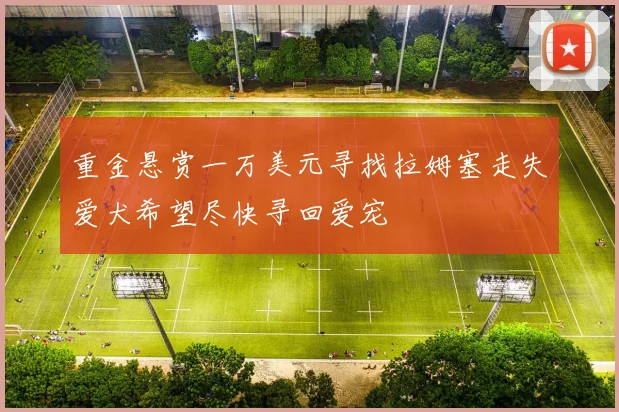 重金悬赏一万美元寻找拉姆塞走失爱犬希望尽快寻回爱宠