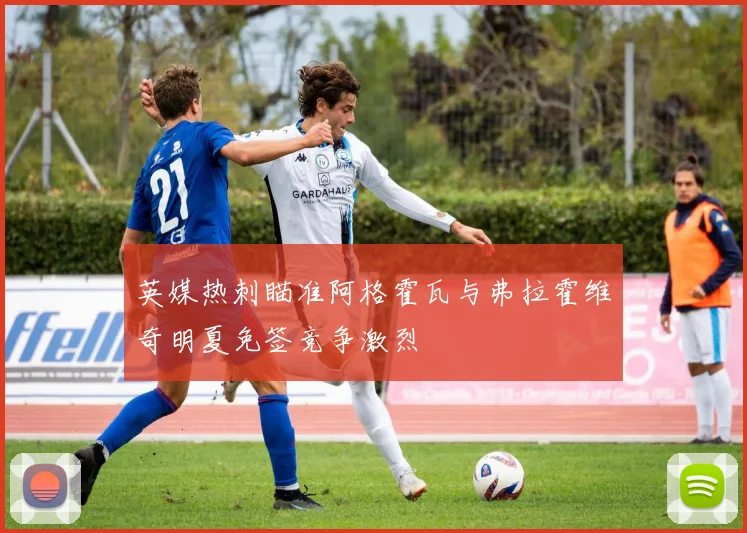 英媒热刺瞄准阿格霍瓦与弗拉霍维奇明夏免签竞争激烈